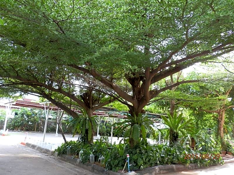 Sandy Serviced Apartment