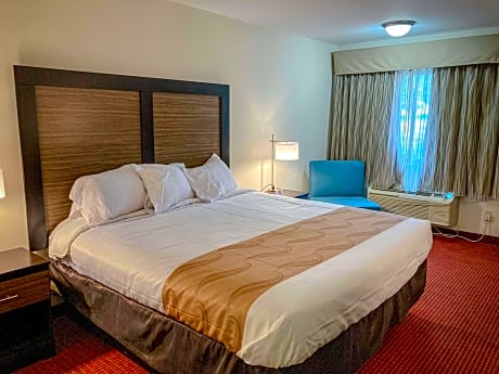 1 King Bed | Non-Smoking, Micfridge