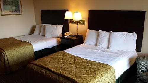 Vista Inn And Suites Tampa