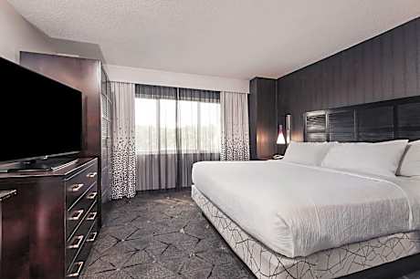 Premium King Suite - Non-Smoking