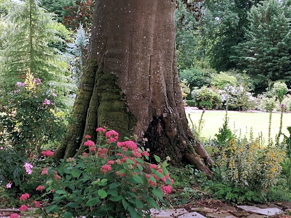 Chambre E André Le Domaine Des Jardins De Bracquetuit