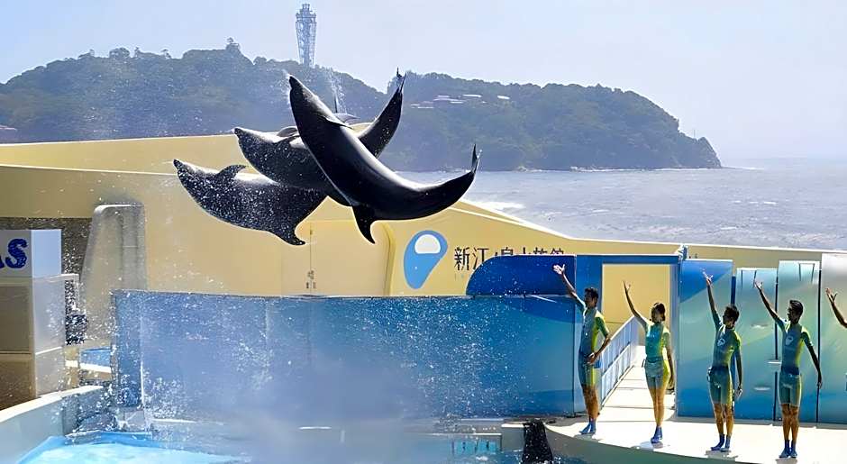 Sotetsu Fresa Inn Fujisawa Shonandai