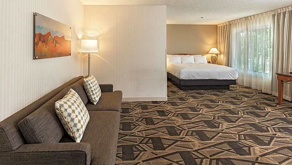 Photo 1 of 5 of 1 King Bed with Sofabed, City View