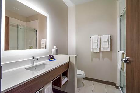1 King Bed Standard Extra Floor Space