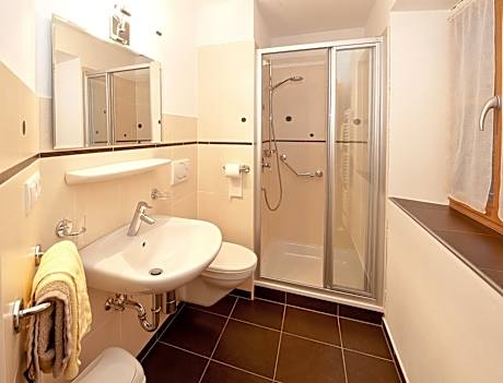 Superior Double or Twin Room with Mountain View