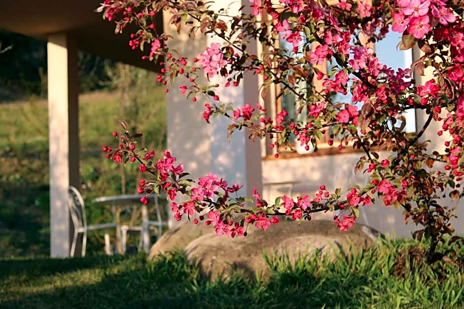 LE SETTE VIE HOLIDAY HOMES