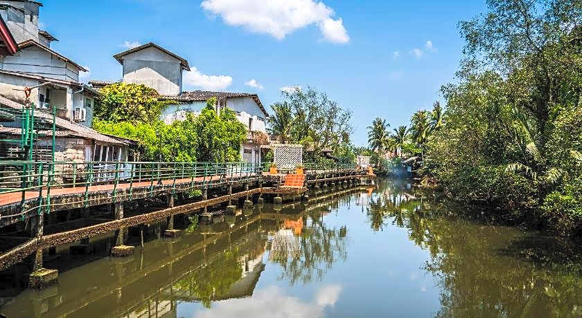 Artist's Place Trat