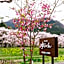 Pension Yufuin