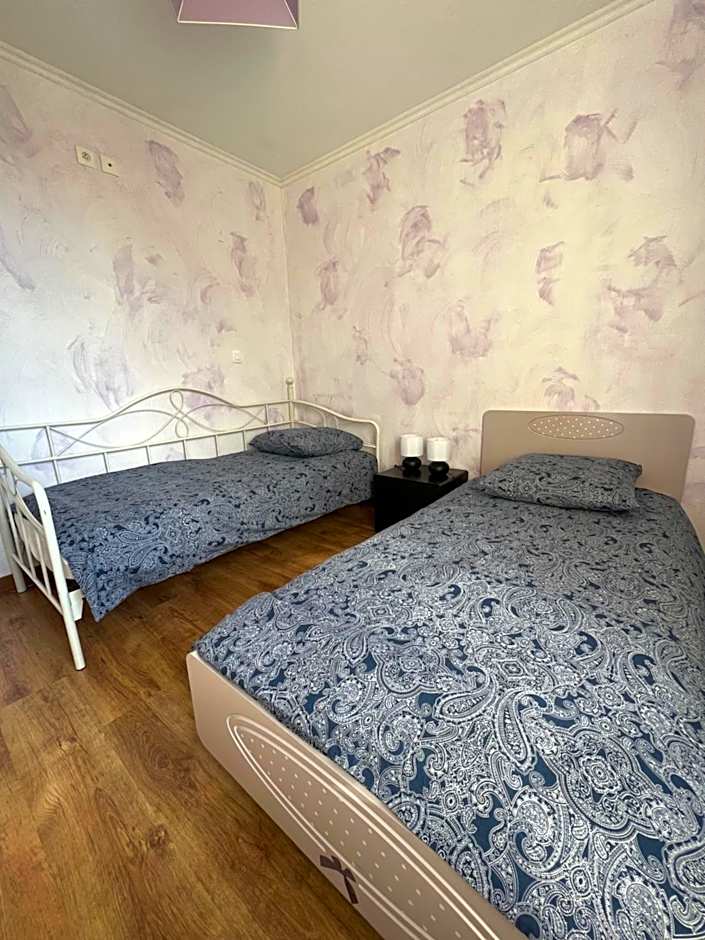 Les Mouettes Blessées