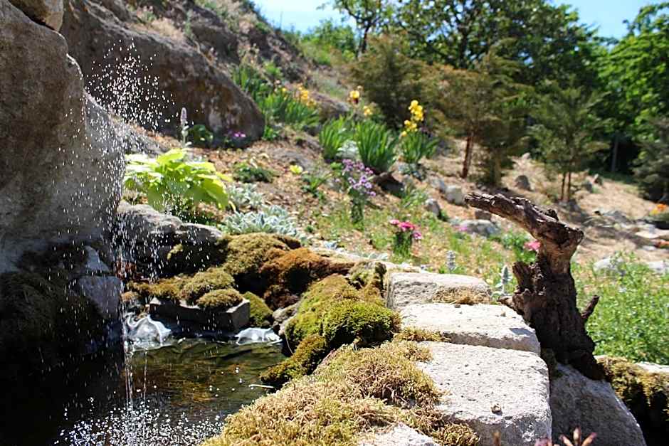 Kakukkfu Barlang-Vendeghaz