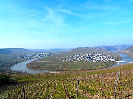 Apartment in Morbach near Ski Lift