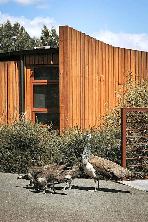 Iron Creek Bay Estate