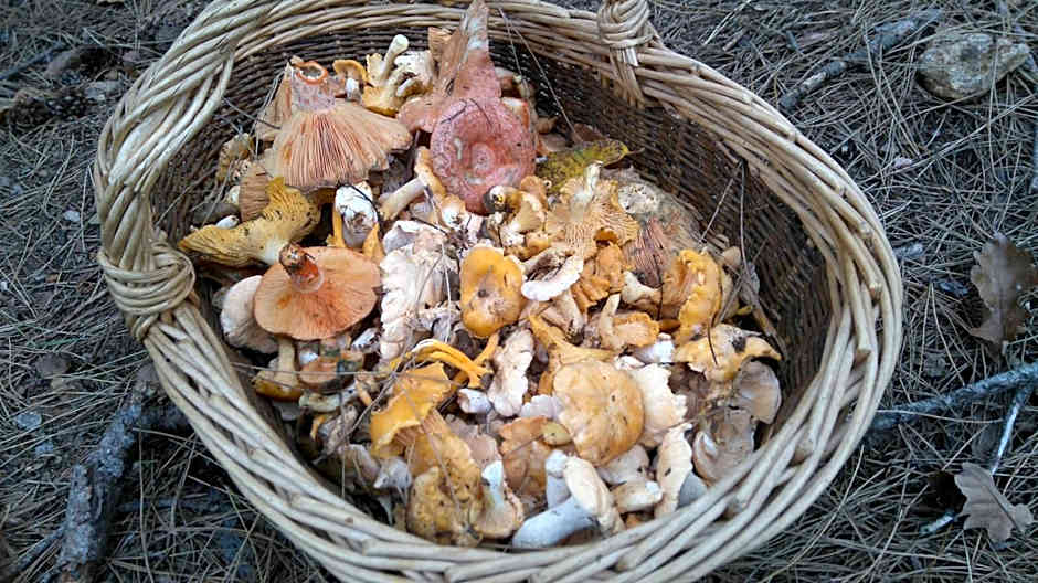 Hôtel Restaurant Les Touristes