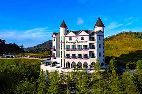 Cameron Lavender Mansion by PLAY