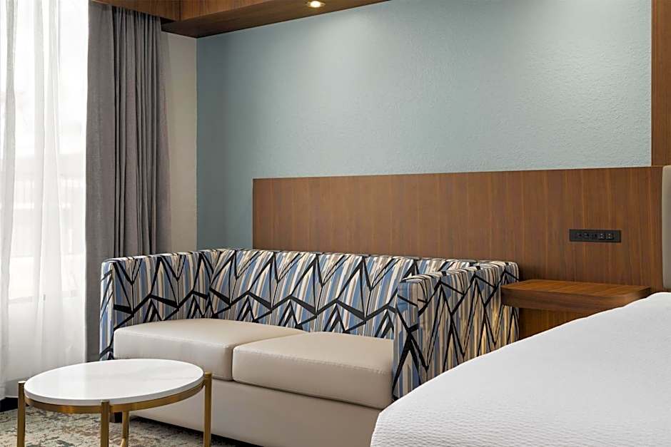 Photo 1 of 6 of Larger 1 King Bed with Sofabed Suite