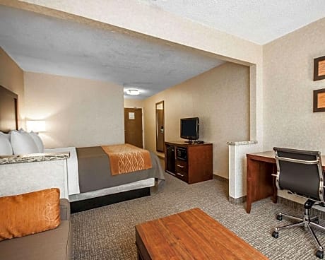 1 King Bed, Suite, Nonsmoking, Accessible