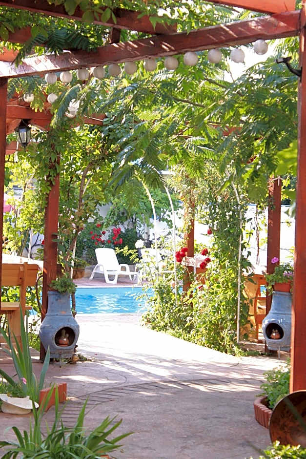 Alba Family Club Hotel