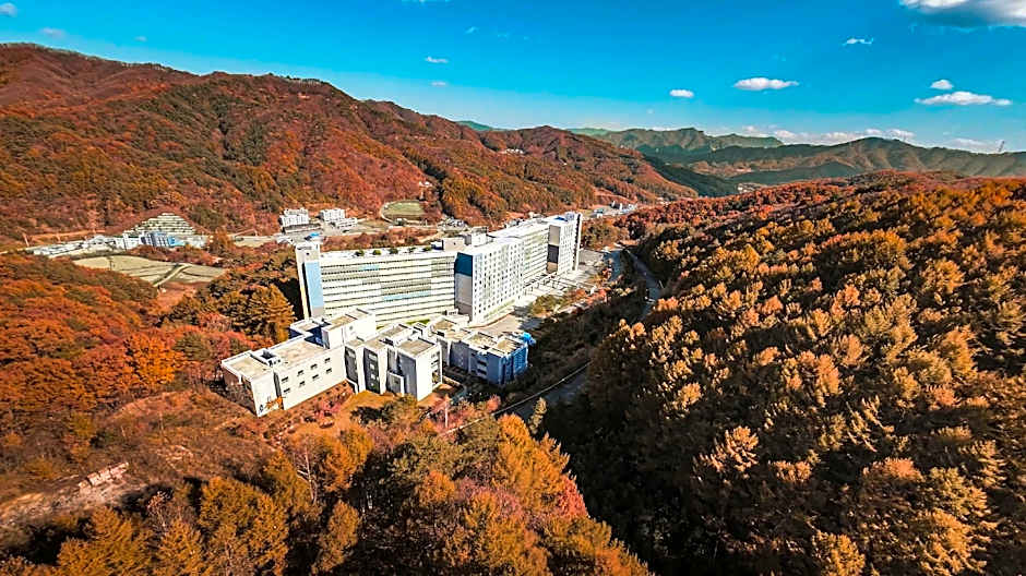 Hotel Around Pyeongchang