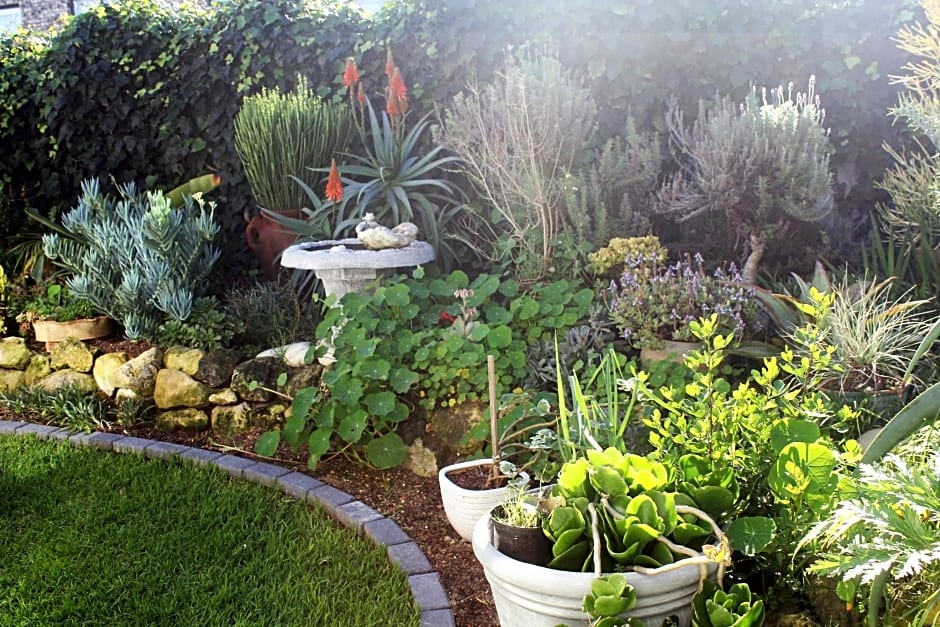 The Sun Catcher Bed & Breakfast