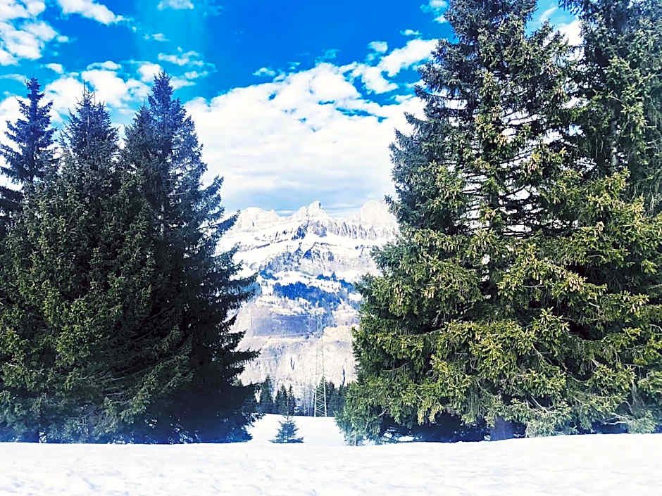 Seeblick SMART Hotel Rössli