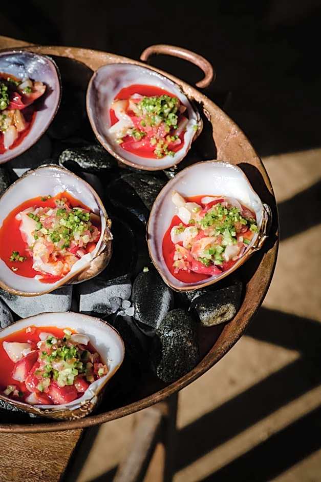 Paradero Todos Santos - Exclusive experiences included