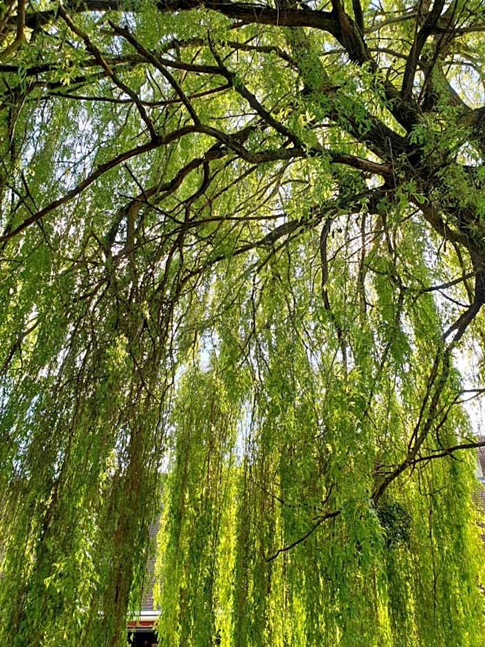 Le Vieux Pressoir