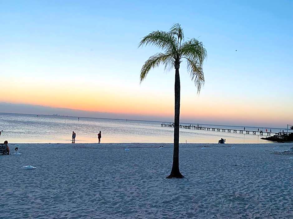 TAMPA BAY, BEACH step away, WIFI, FREE PARKING,POOLS, JACUZZI