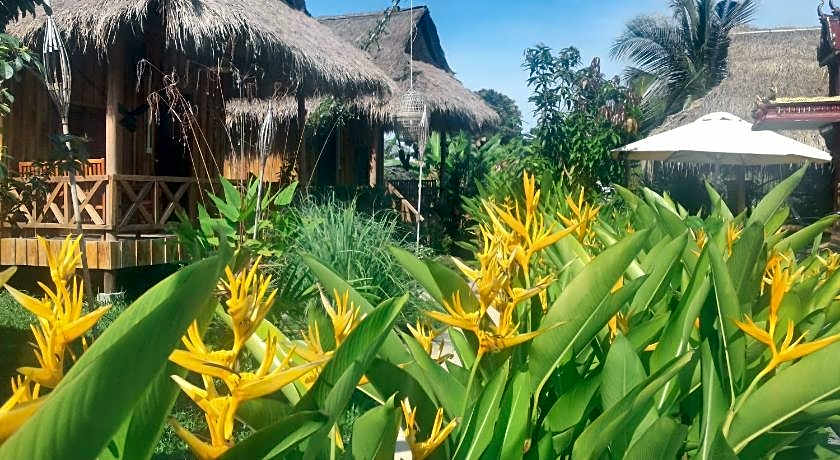 Bird of Paradise Bungalows