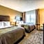 Comfort Inn Detroit Downtown