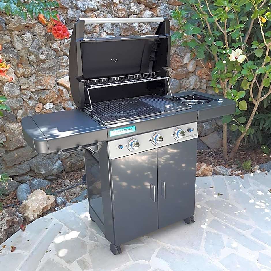 Villa Chariklia Studios