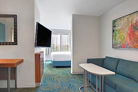 King Suite with Sofa Bed