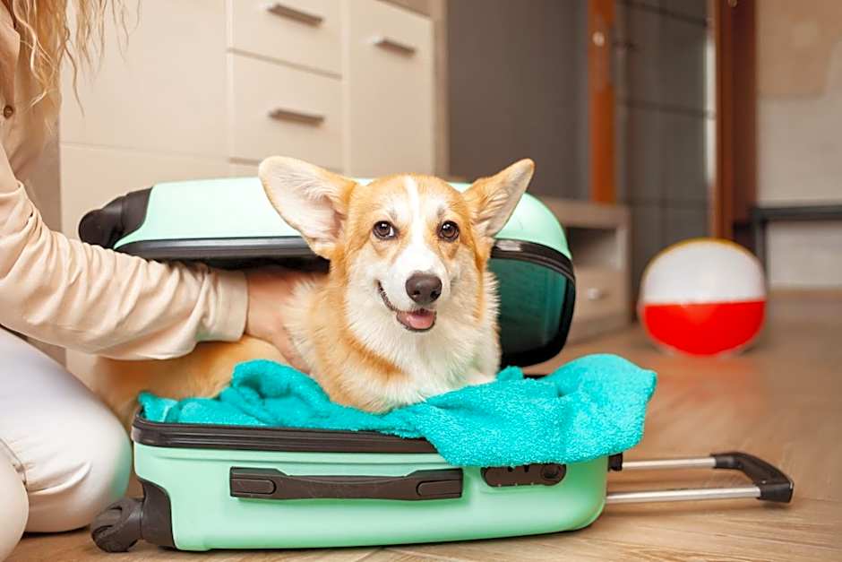 Motel 6-Macclenny, FL