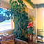 Regal Inn Coffeyville KS US 169