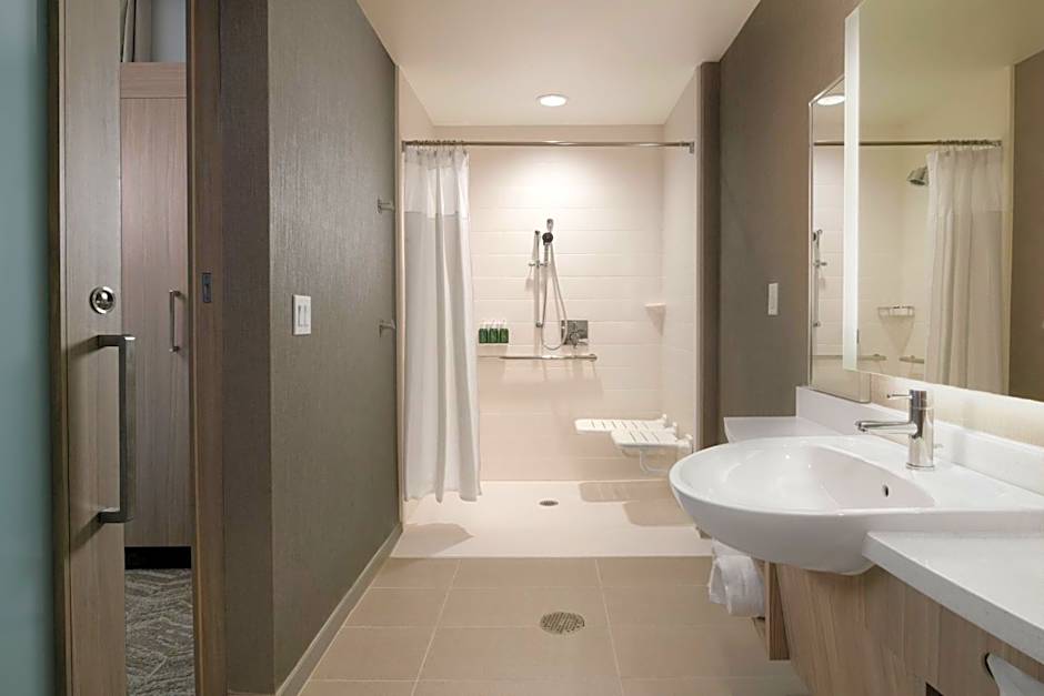 SpringHill Suites by Marriott Texas City