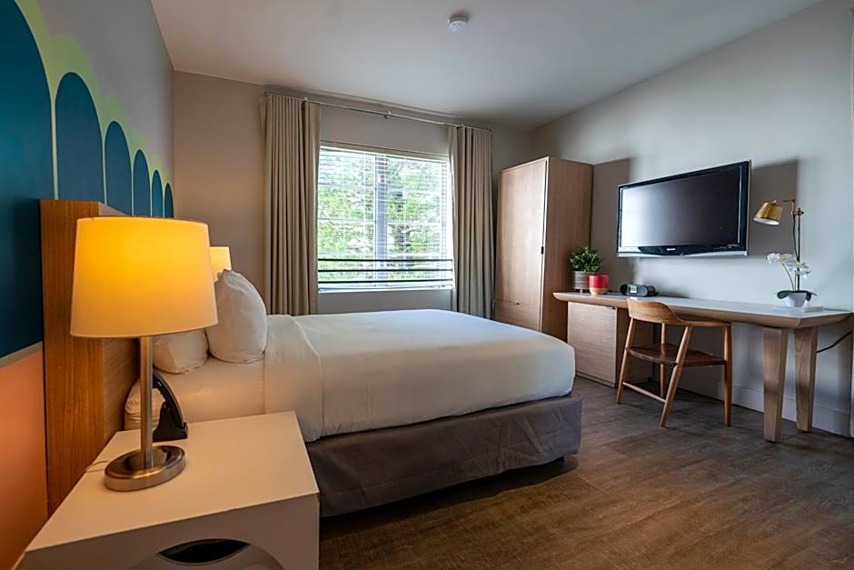 Photo 1 of 9 of Superior 1 King Bed