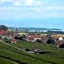 Au cœur du vignoble sur Bursins