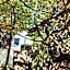 The Little Hideaway Guesthouse