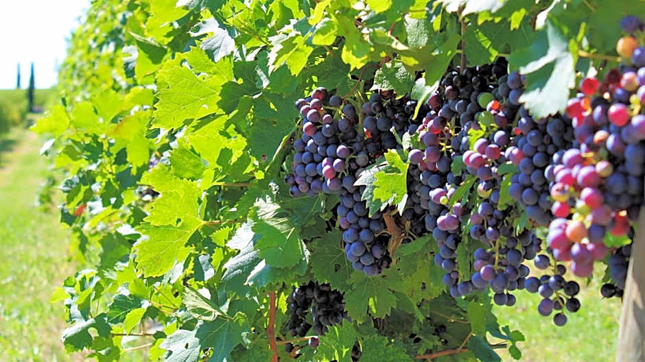 Borgo Romantico Relais