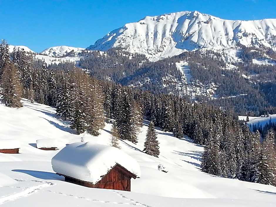 Plan Murin - Authentic Dolomites Hotel