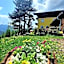 Kohlegghof