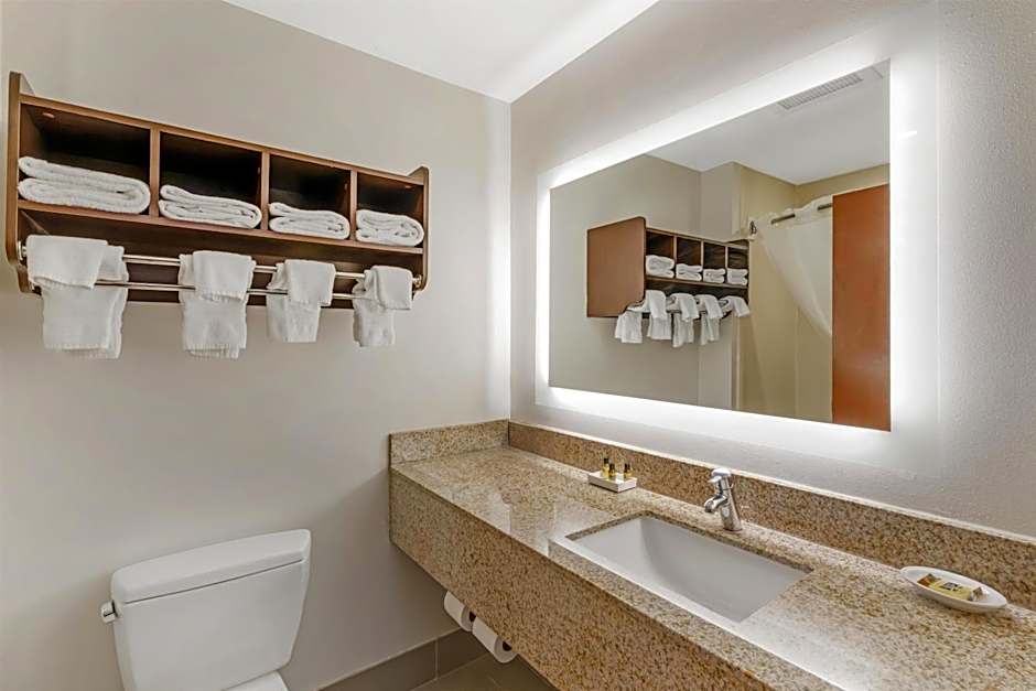 Best Western Plus McDonough Inn & Suites