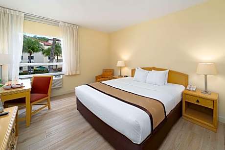 1 King Bed Accessible Non Smoking