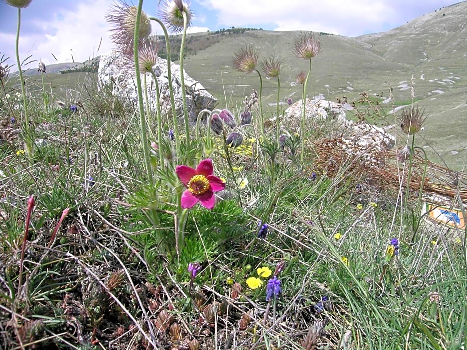 La Bifora e Le Lune Vico sotto gli archi 5