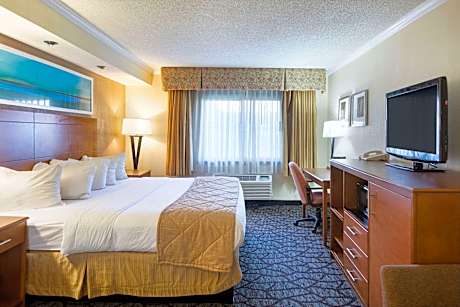 1 King Bed Nonsmoking