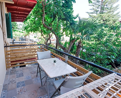 Apartment capacity 4