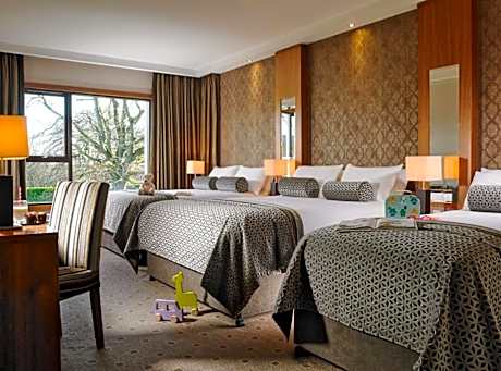 Superior Family (2 adults and 3 children)