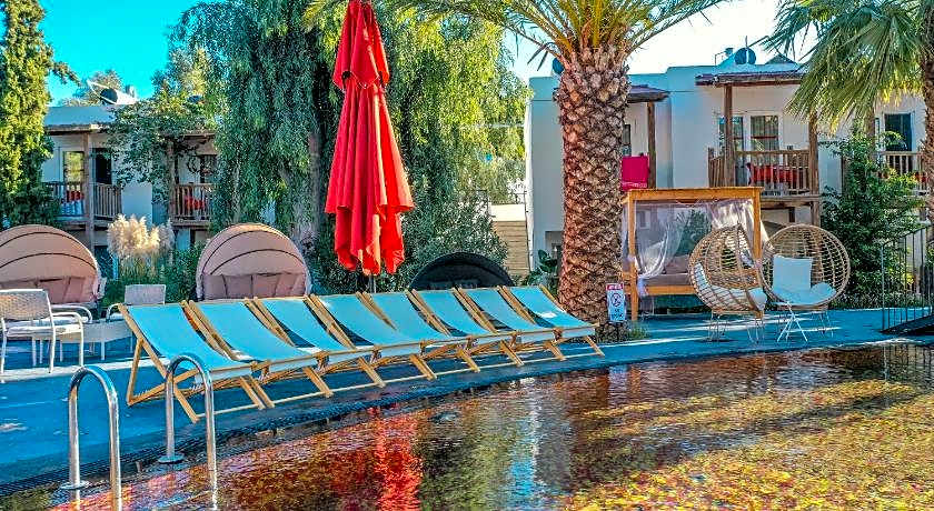 Very Chic Adult Only 18 