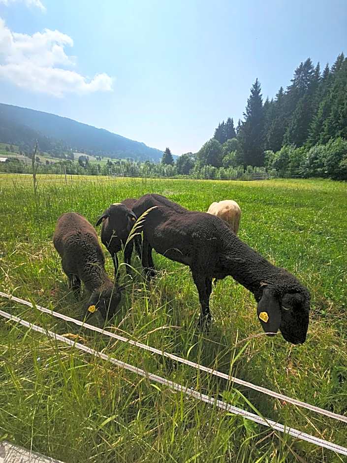 Landhotel Lacknerhof