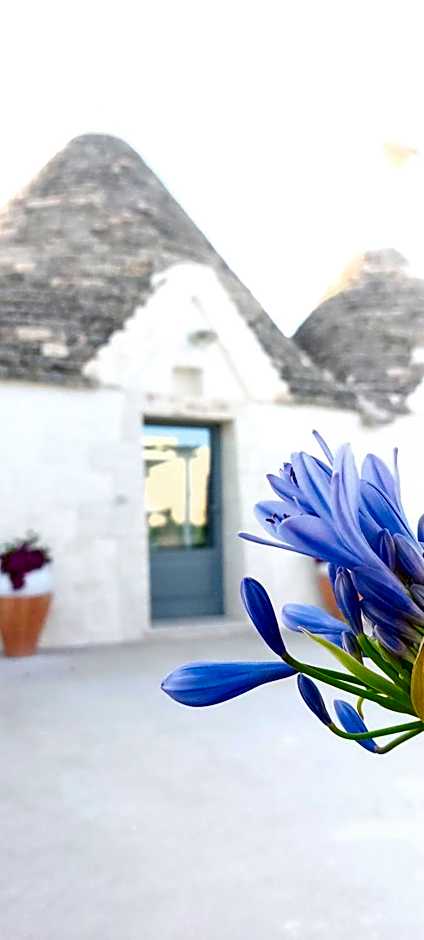 Trullo La chicca della valle