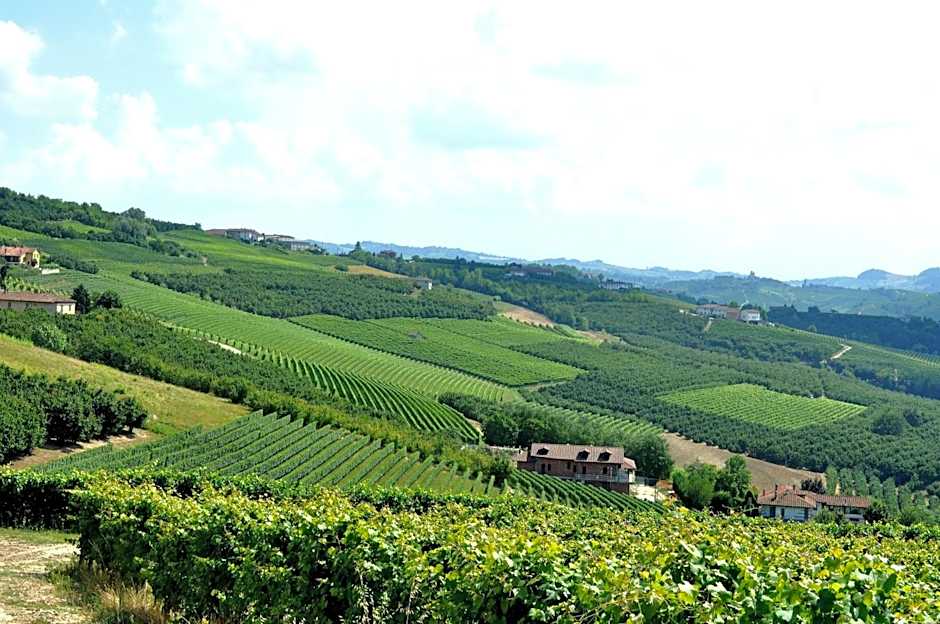 Villa Bellavista Alba, B&B